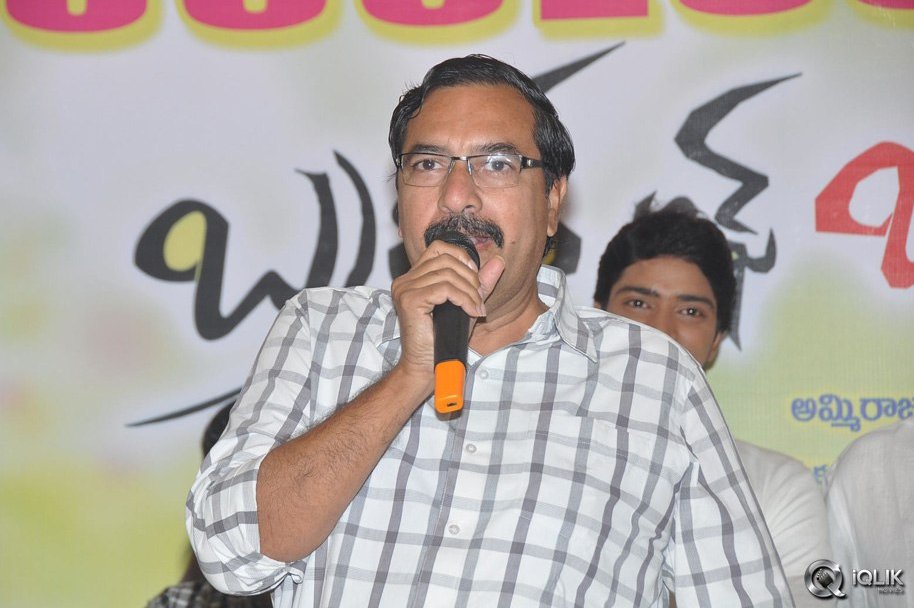 Brother-Of-Bommali-Movie-Success-Meet